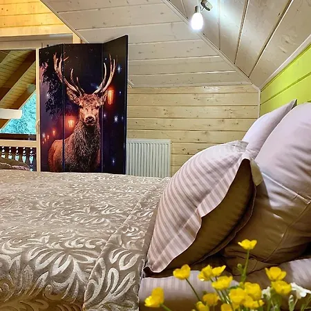 Yasnyi Dim Bed & Breakfast *
